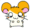 hamtaro-0036