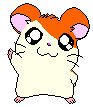 hamtaro-0037