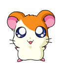 hamtaro-0038