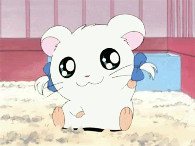 hamtaro-1