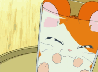 hamtaro-10