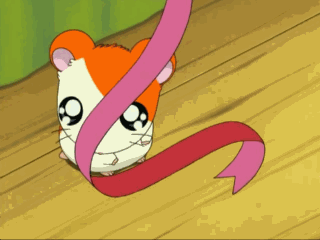 hamtaro-12