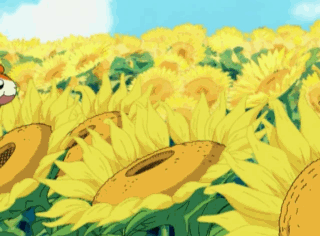 hamtaro-15