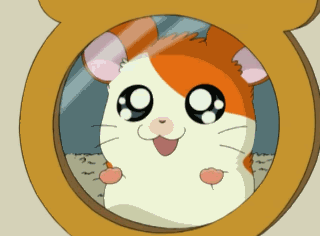 hamtaro-2