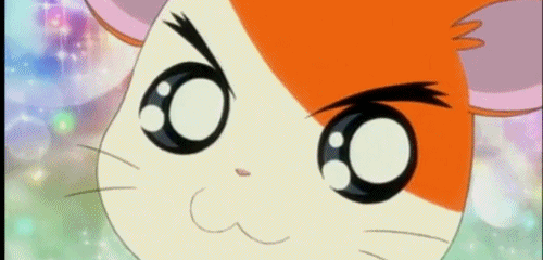 hamtaro-4