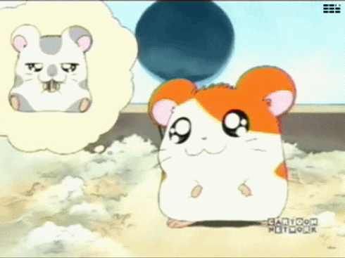 hamtaro-5