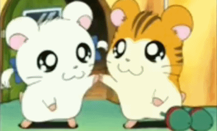hamtaro-555