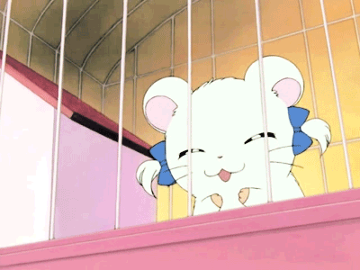 hamtaro-55555