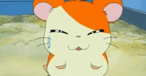 hamtaro-6