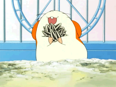 hamtaro-78554