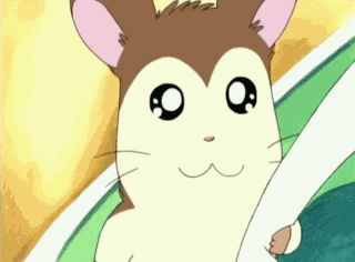 hamtaro-8