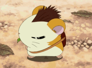 hamtaro-9