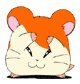 hamtaro_g_010
