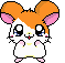 hamtaro_m_004