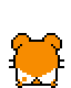 hamtaro_s_024
