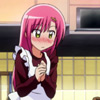 hayate-the-combat-butler-1100