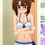 hayate-the-combat-butler-2065