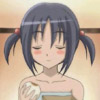 hayate-the-combat-butler-842