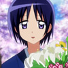 hayate-the-combat-butler-905