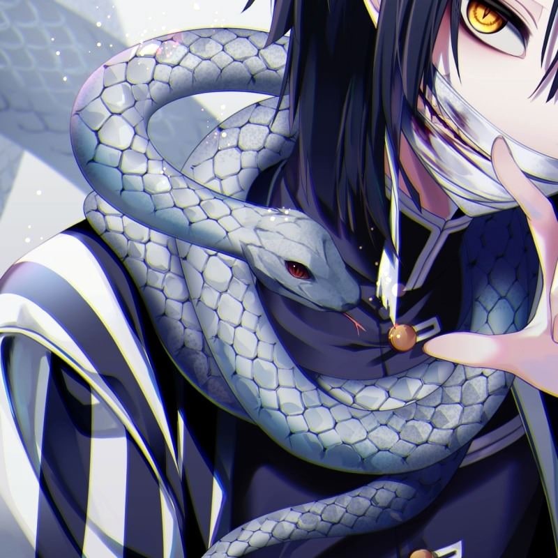moar-avatar-pfp-2322