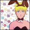 naru-bunny