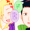 shikaino1
