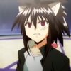 negima-29