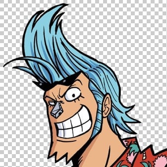 one-piece-franky-52