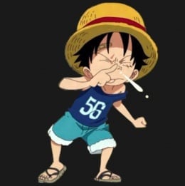one-piece-monkey-d-luffy-17
