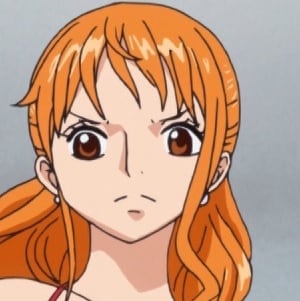 one-piece-nami-16
