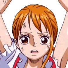 one-piece-nami-38