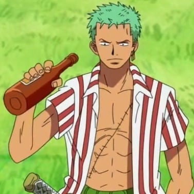 one-piece-roronoa-zoro-27
