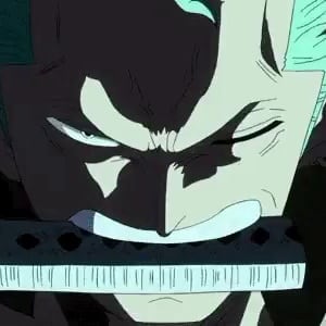 one-piece-roronoa-zoro-49