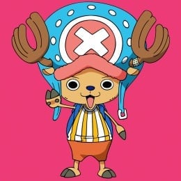 one-piece-tony-tony-chopper-6