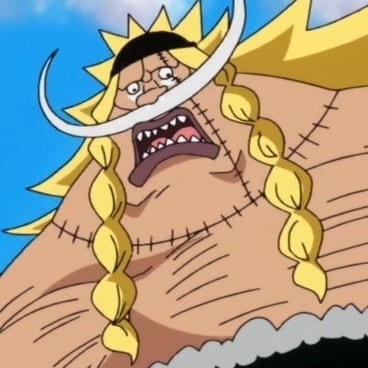 one-piece-friend-15