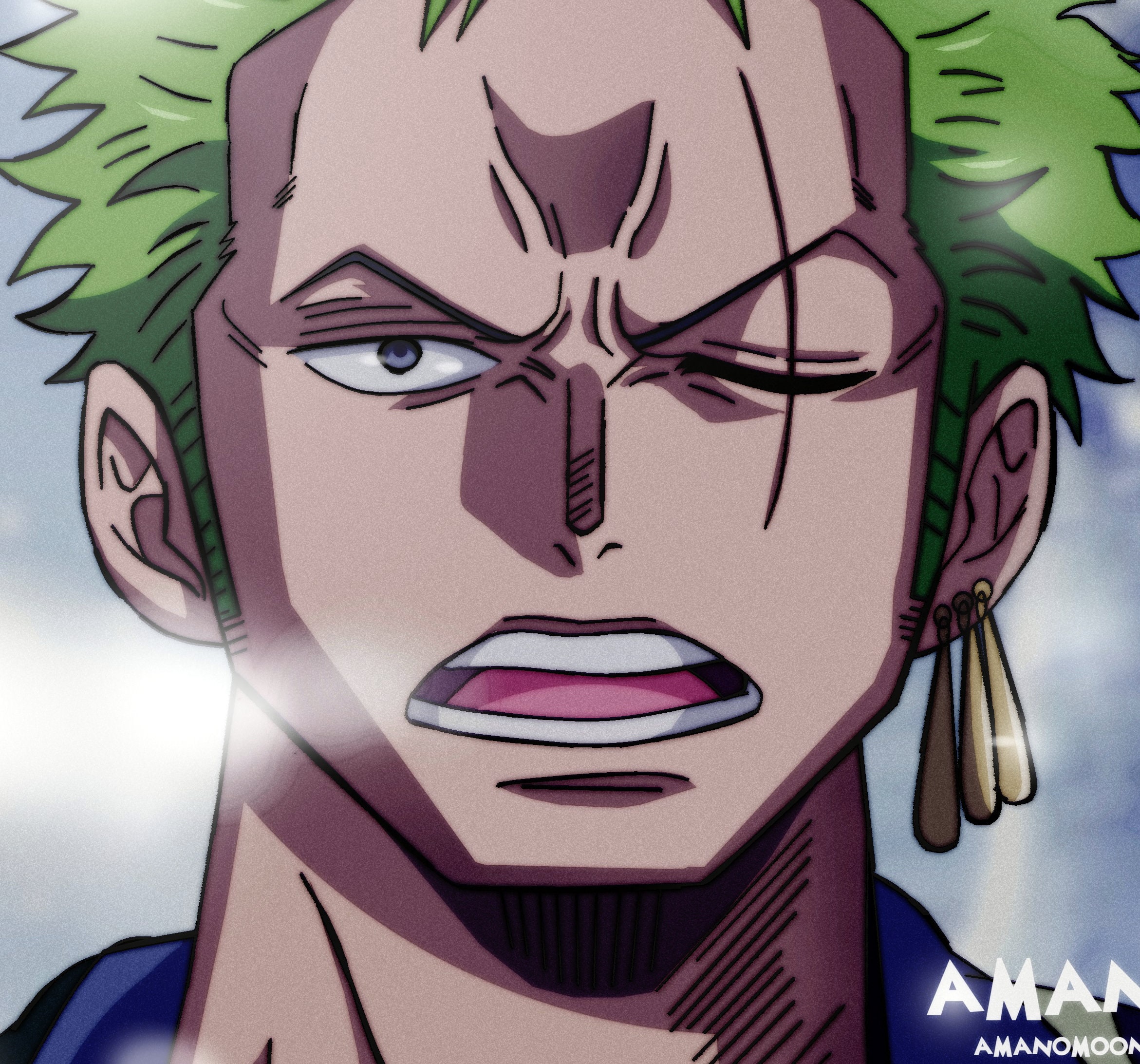 one-piece-roronoa-zoro-100