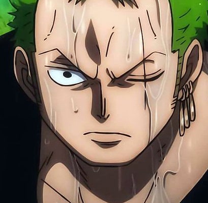 one-piece-roronoa-zoro-104