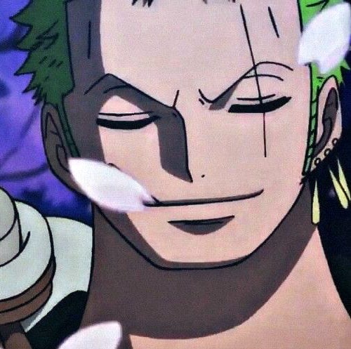 one-piece-roronoa-zoro-106