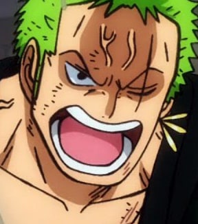 one-piece-roronoa-zoro-107