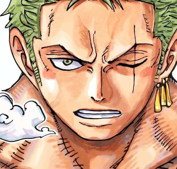 one-piece-roronoa-zoro-109