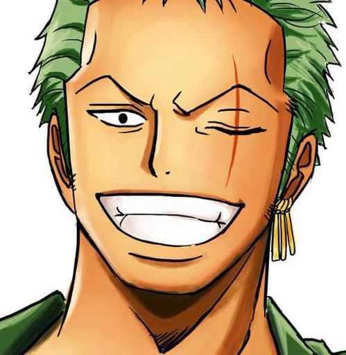 one-piece-roronoa-zoro-112