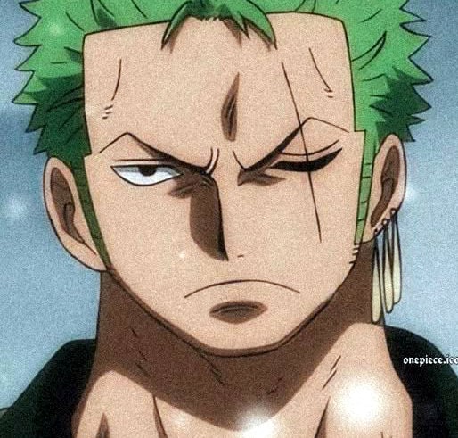 one-piece-roronoa-zoro-113