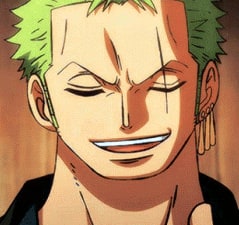 one-piece-roronoa-zoro-116