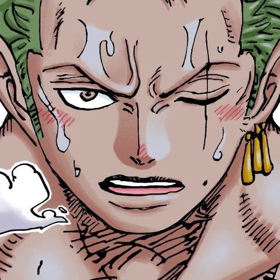 one-piece-roronoa-zoro-12