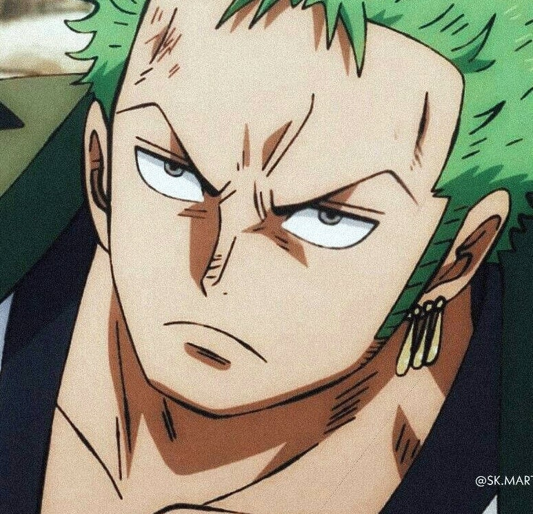 one-piece-roronoa-zoro-13