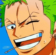 one-piece-roronoa-zoro-14