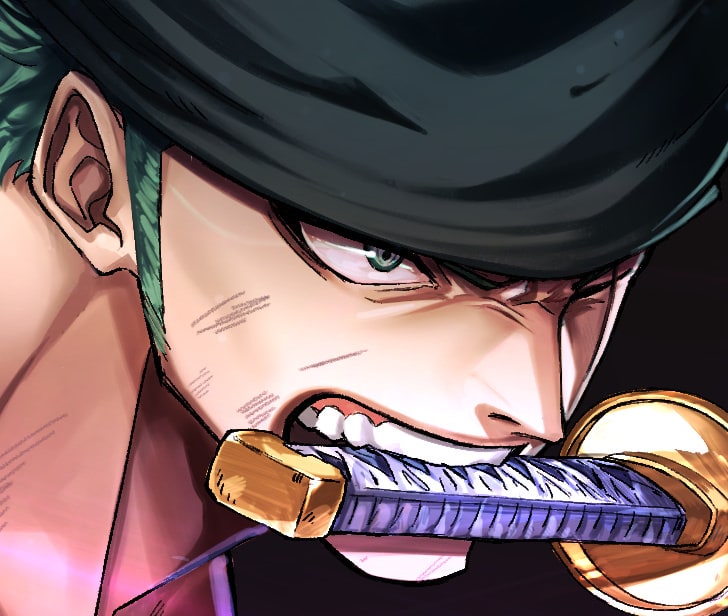 one-piece-roronoa-zoro-16
