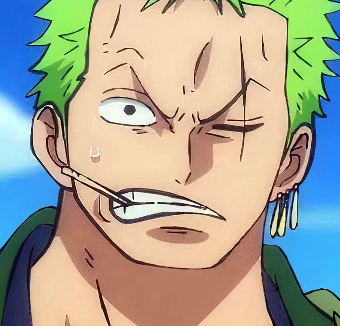 one-piece-roronoa-zoro-17