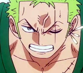 one-piece-roronoa-zoro-21