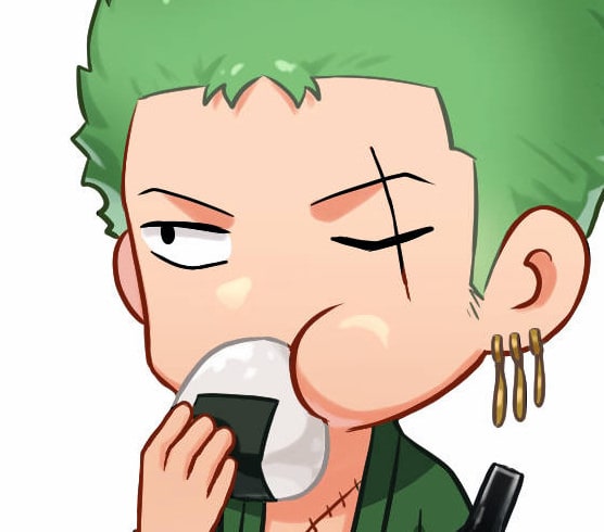 one-piece-roronoa-zoro-25